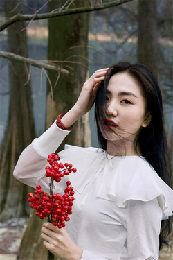 黄台软仵30种2023最新功能界面